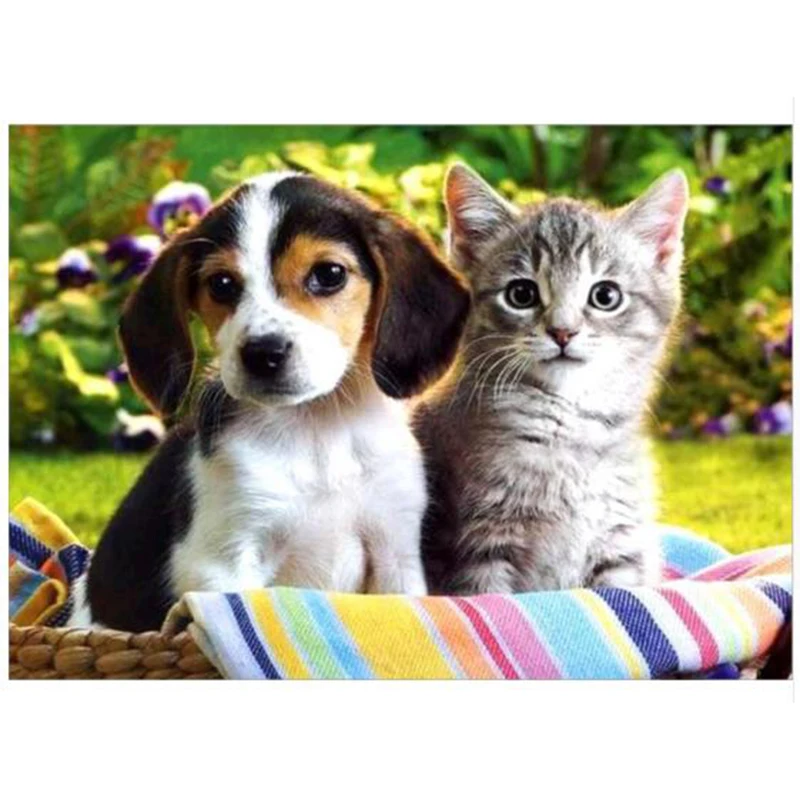 DIY 5D Pintura Diamante Animais cães e Gatos Ponto Cruz Mosaico padrыes Стразы под Бриллиант bordado рукоделие