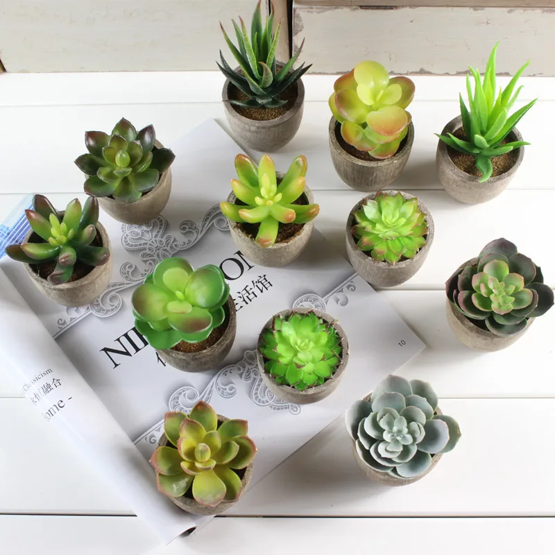 Artificial Succulents Plant w//Pot Fake Cactus Alow Bonsai Home Garden Decor Cool