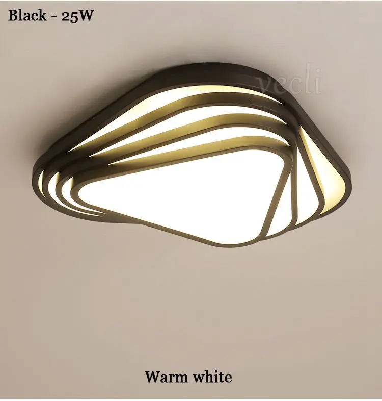 ceiling light (7)