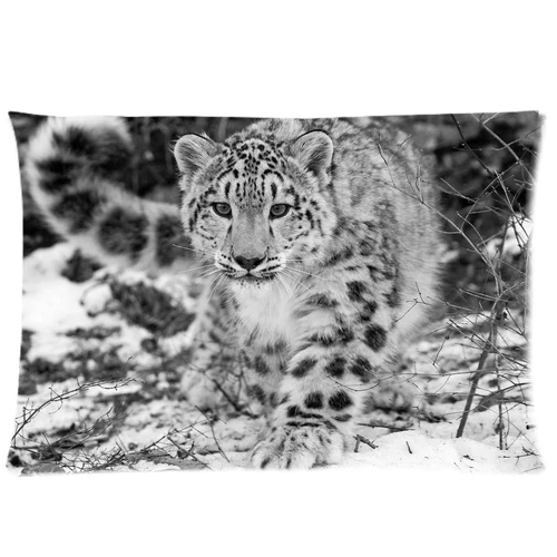 tiger 2