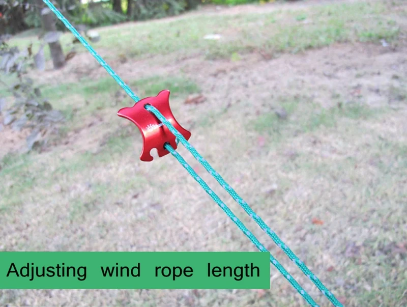 4804295751_1831022245 (3)