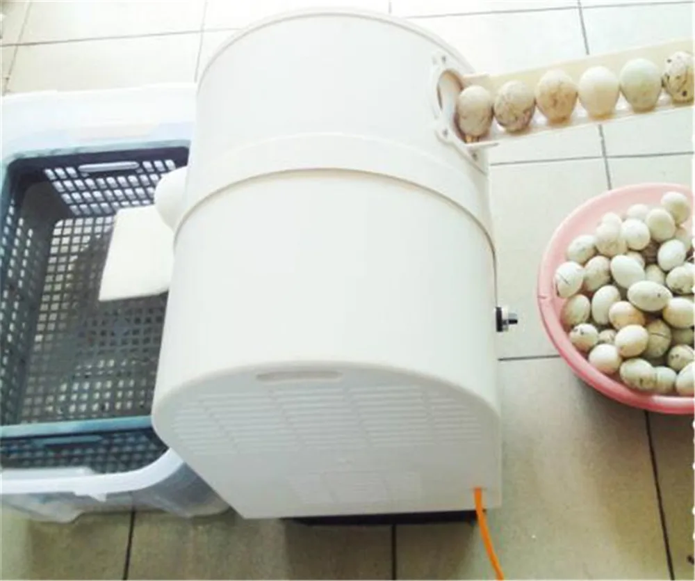 egg washer03