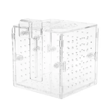 

Acrylic Aquarium Fish Breeding Isolation Box With Sucker for Baby Fish Hatchery Incubator Cage fish breeding box