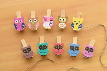 

150Pcs Mini Owl Wooden Kids Baby Clothes Pegs Hanger Photo Paper Peg Pin With Rope Household Organizer Clothespins Decorative