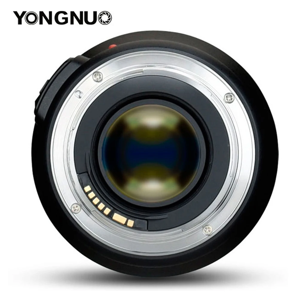yongnuo lens (3)
