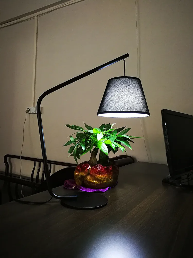 20190327_173819_235