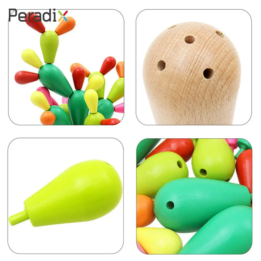 Peradix разделение игрушка-кактус s игрушка-кактус набор Многоцветный Kidsroom начало способность практика безопасный материал