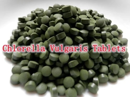 

2000pcs Natural Organic Chlorella Vulgaris Tablets 250mg/tablet rich of chlorophyll, protein free shipping