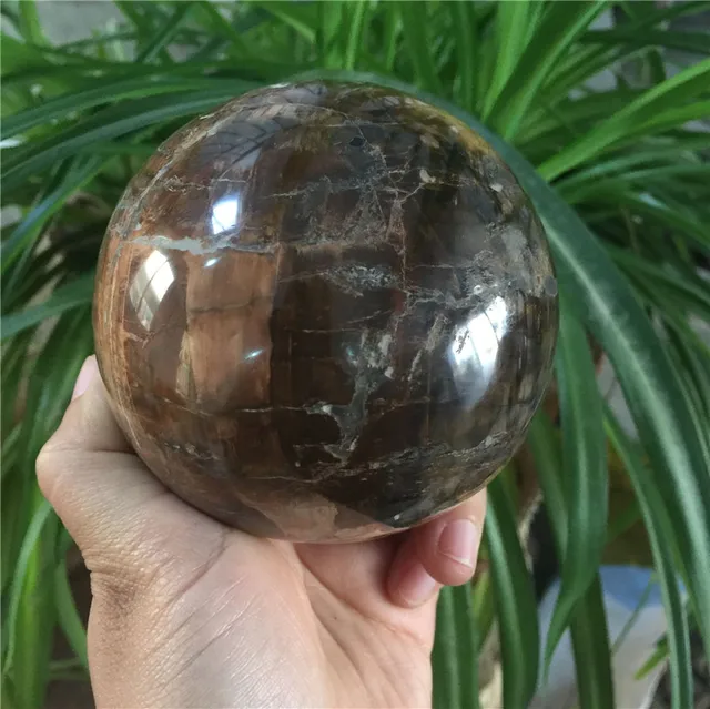 Best Price New arrivals large size natural wood fossil stone ball Reiki healing rock sphere for home decoration Best Price New arrivals large size natural wood fossil stone ball Reiki healing rock sphere for home decoration