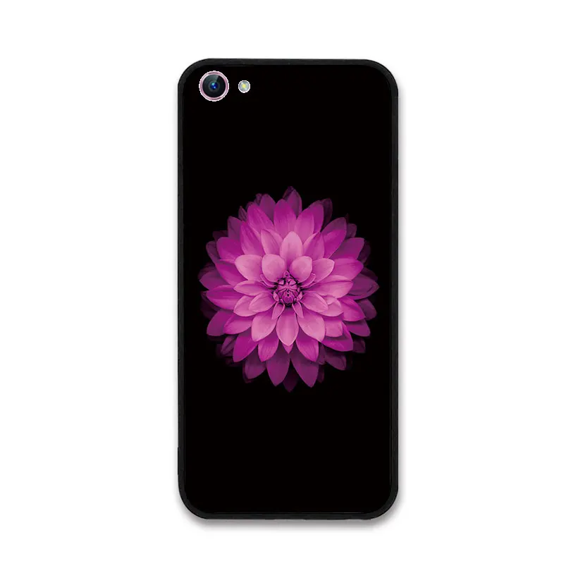 VIVO2