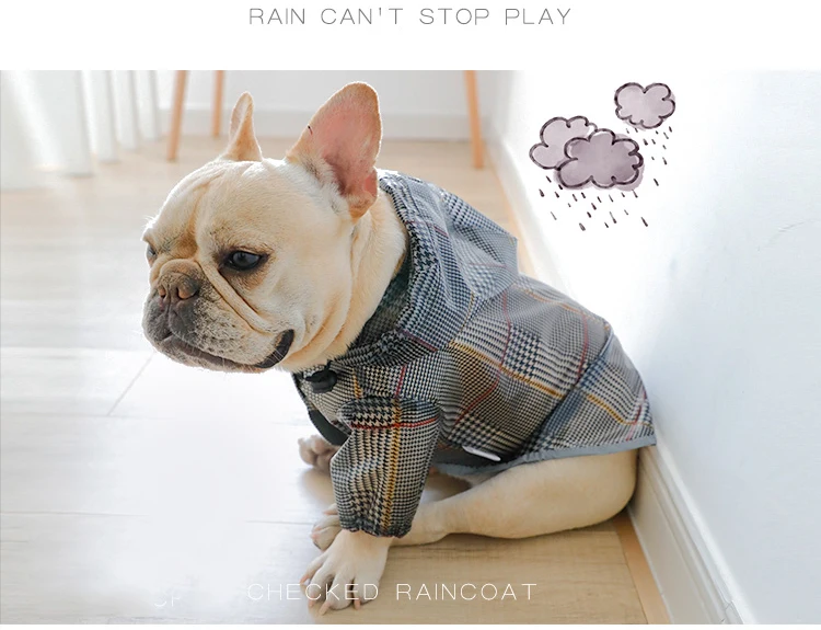 O1CN01i1pJlx1okV0XOhPyL_!!58305263