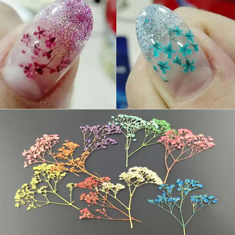 Dry Dried Flower Nail Art Decoration Diy Design Beautiful Press The Extra Air Inside Gap Between Flower And Nail Surface 6 Decorate With Ornaments Apply Topcoat Cure By Uv Led Lamp Finished