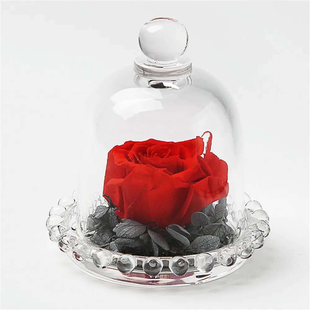 Red Rose Mini Eternal Flowers Dried Flowers Preserved Fresh Flower Live Dry Rose Enchanted Rose