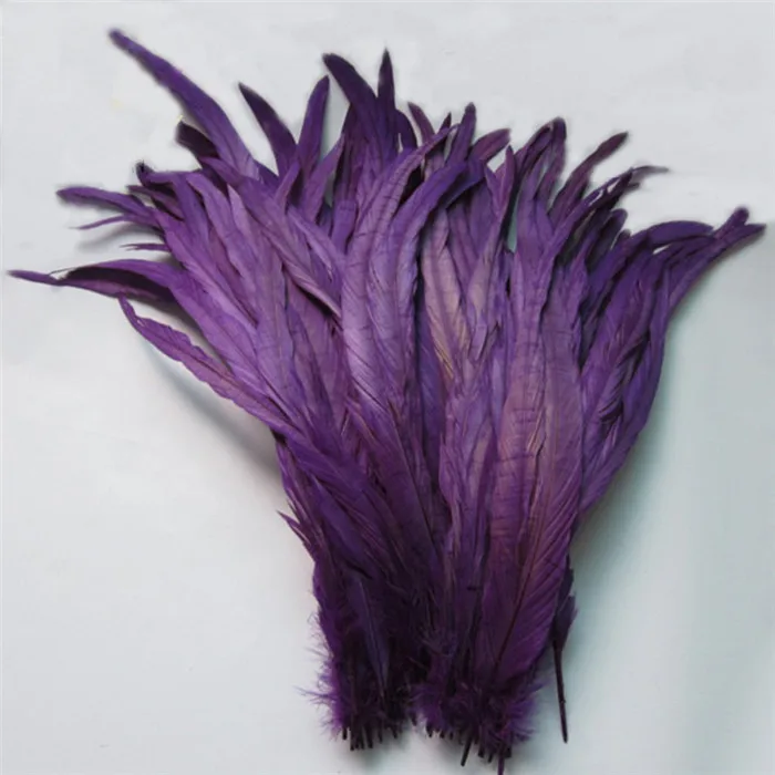 12 Purple rooster tail feather