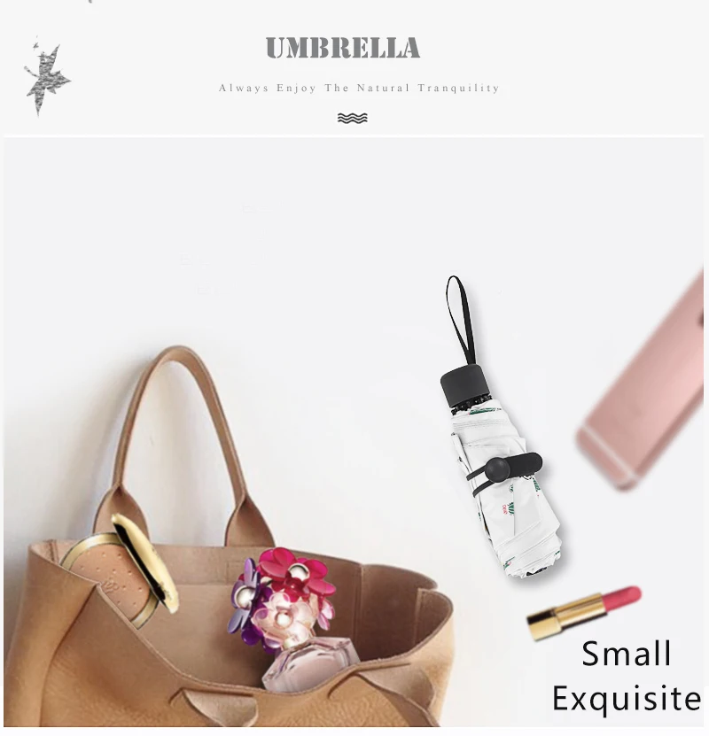 Transparent Umbrella (2)
