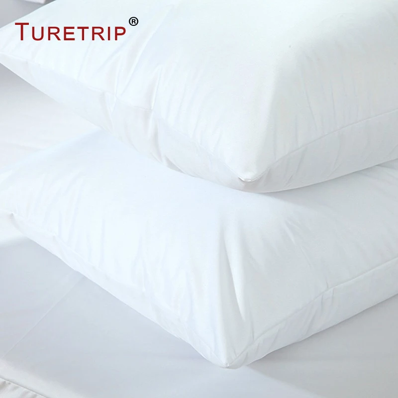 Turetrip Pillowcase Waterproof Set of 2 Anti Mites Bed Bug Proof Zipper Pillow Cover Protector (Smooth)