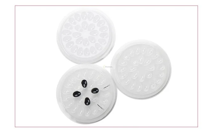 eyelash holder (4)