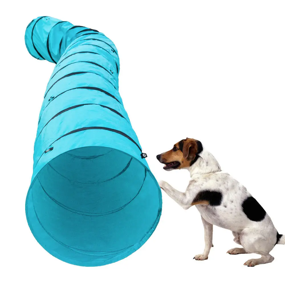 agility training tunnel for dogs