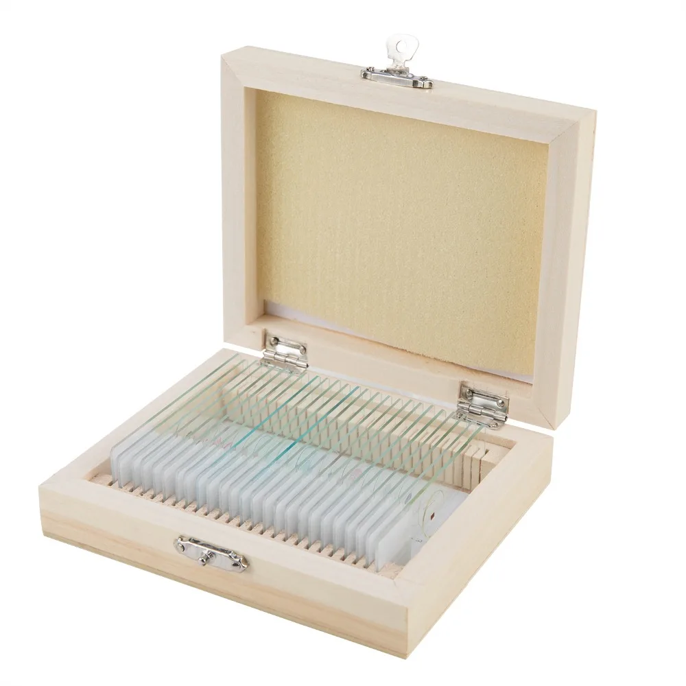 

Student Glass Slide Biological Class Plants Slides Animal Slides Security Biological Laboratory 25PCS Wooden Box Convenient