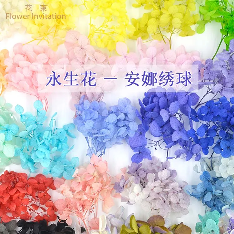 

Flower Invitation Small Leaves high-grade Hydrangea _DIY manual plant samples dried flowers