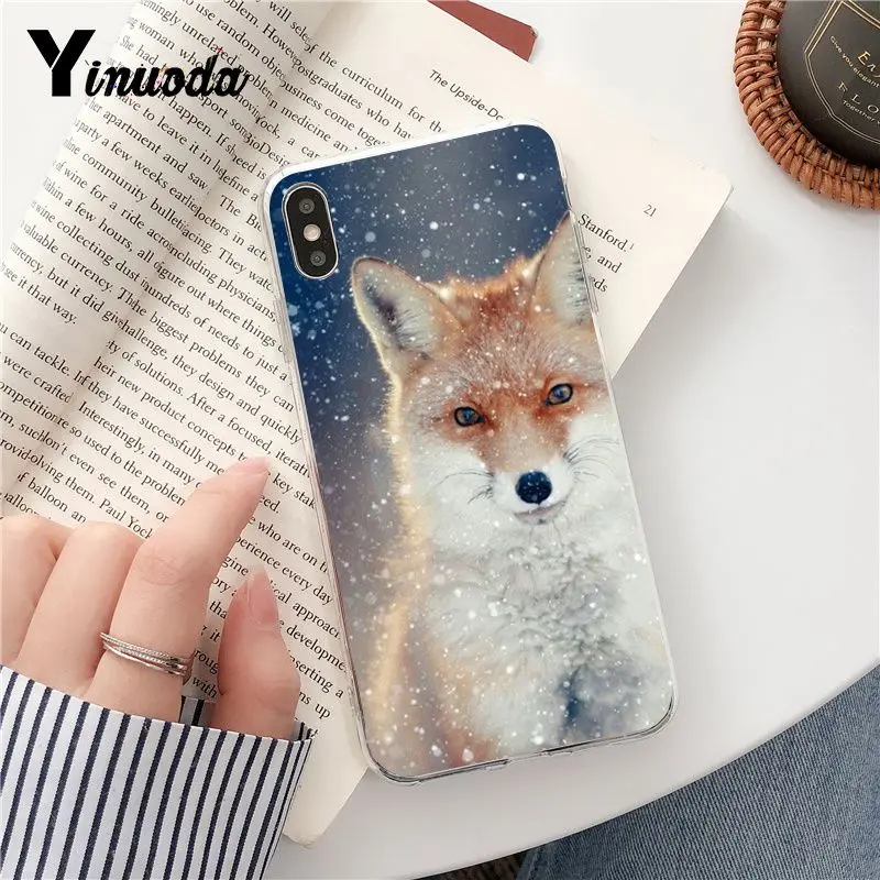 fox is sleeping