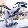 Remote Control Toys