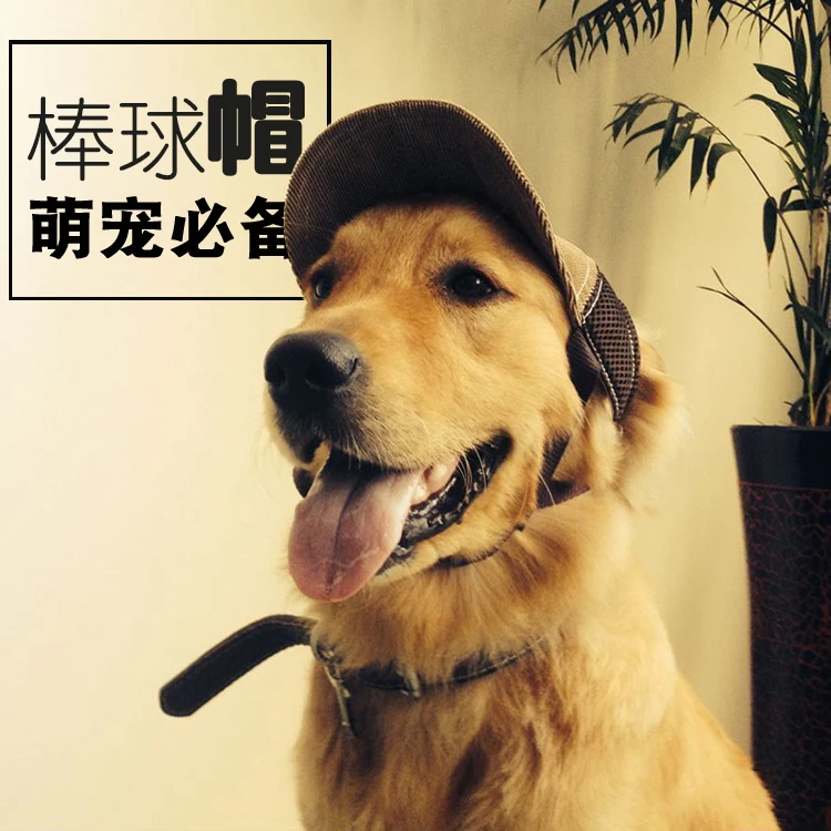 popular hot Pet Hat Summer Sunshade Sun letter corduroy Golden Retriever Dog Baseball Supplies | Дом и сад