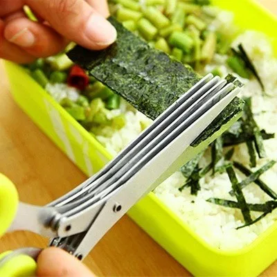 2595948700_476075319