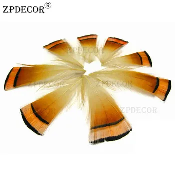 

Golden Pheasant tippet cape feathers