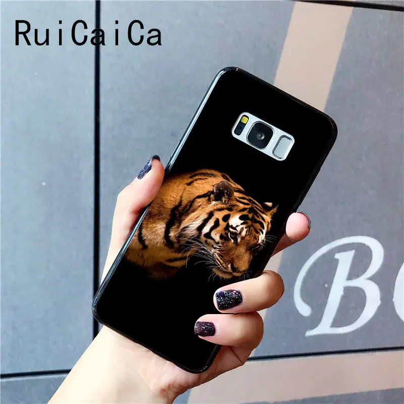 tiger fashion