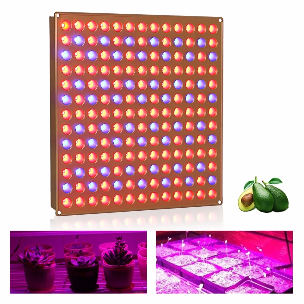 Buy 45W LED Gold Plant Grow Light Panel Light Red