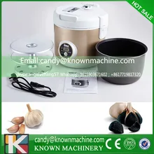 black garlic maker with factry price