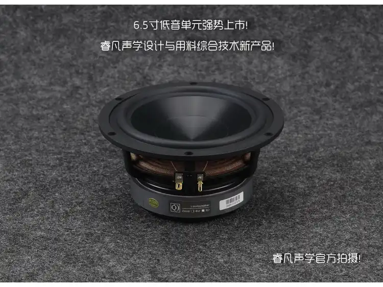 6.5 inch woofer speaker