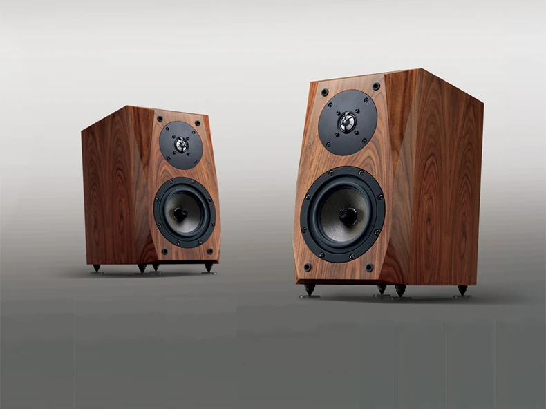 CAV FL-35 Hi-Fi динамик проводной книжная полка динамик s дерево HIFI коробки вентилируемая коробка 2way Eton твитер Средний бас Высокоточный динамик s