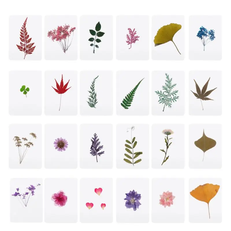 Mix спрессованные цветы листья образец растения наполнители для эпоксидной смолы Создание украшений из каучука - Цвет: 1
