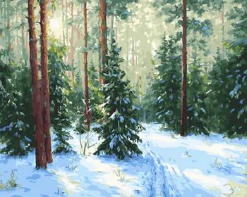 

Unframe diy picture oil painting by numbers paint by number for home decor canvas painting 5065 snow
