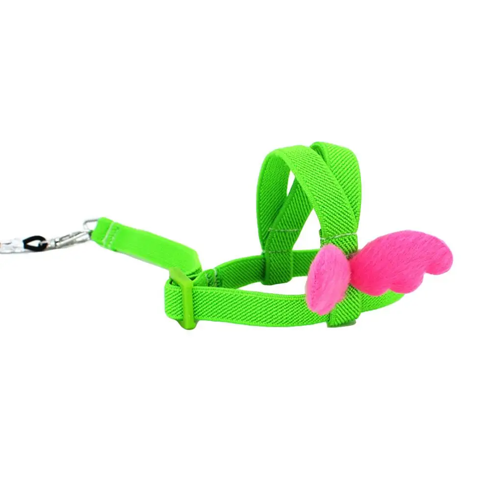 

Pet Parrot Bird Harness and Leash Flying Rope Straps Outdoor Training Traction Rope for Budgerigar Lovebird Cockatiel Mynah Smal