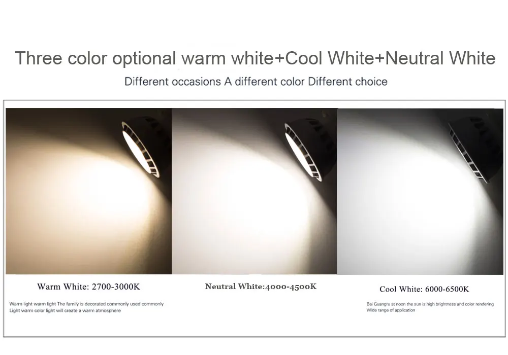 RP0381 LED Spotlight Bulb Lamp--US (16)