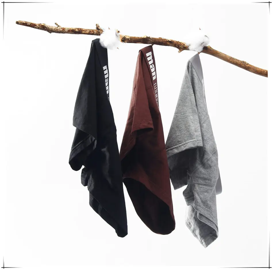men boxers underpants briefs 03_