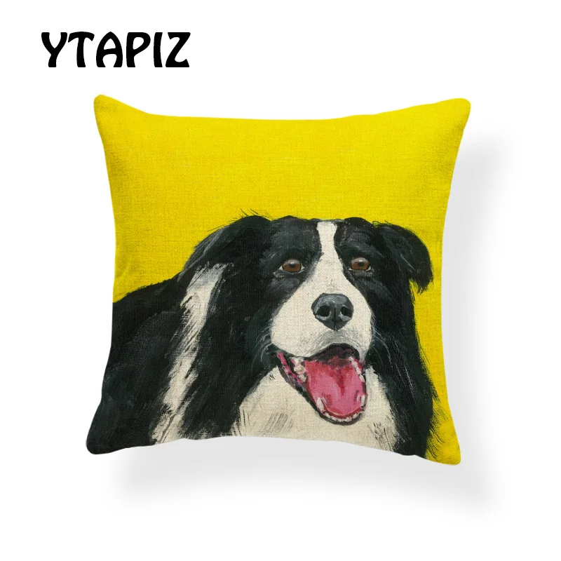 AB9166 (11) BerneseMountainDog