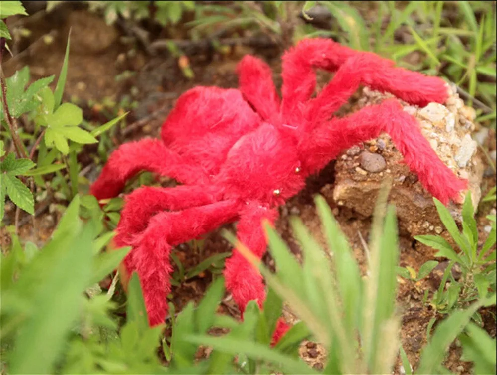 online shop 2017 new arrival halloween prank making tricks funny red color plush spider tumbling toys for boys girls aliexpress mobile - Funny Halloween Prank online shop 2017 new arrival halloween prank making tricks funny red color plush spider tumbling toys for boys girls aliexpress mobile - Funny Halloween Prank
