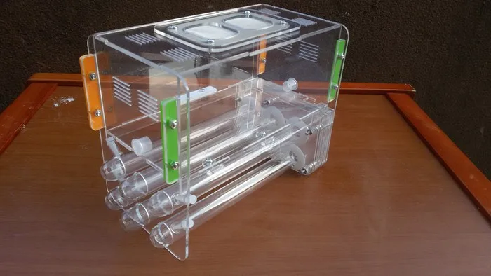 ant-house (2)