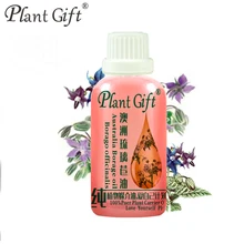 Чистый завод База масла Эфирные масла масло огуречника 100 мл Австралия импортирует повышения груди ритидэктомии Anti-Aging