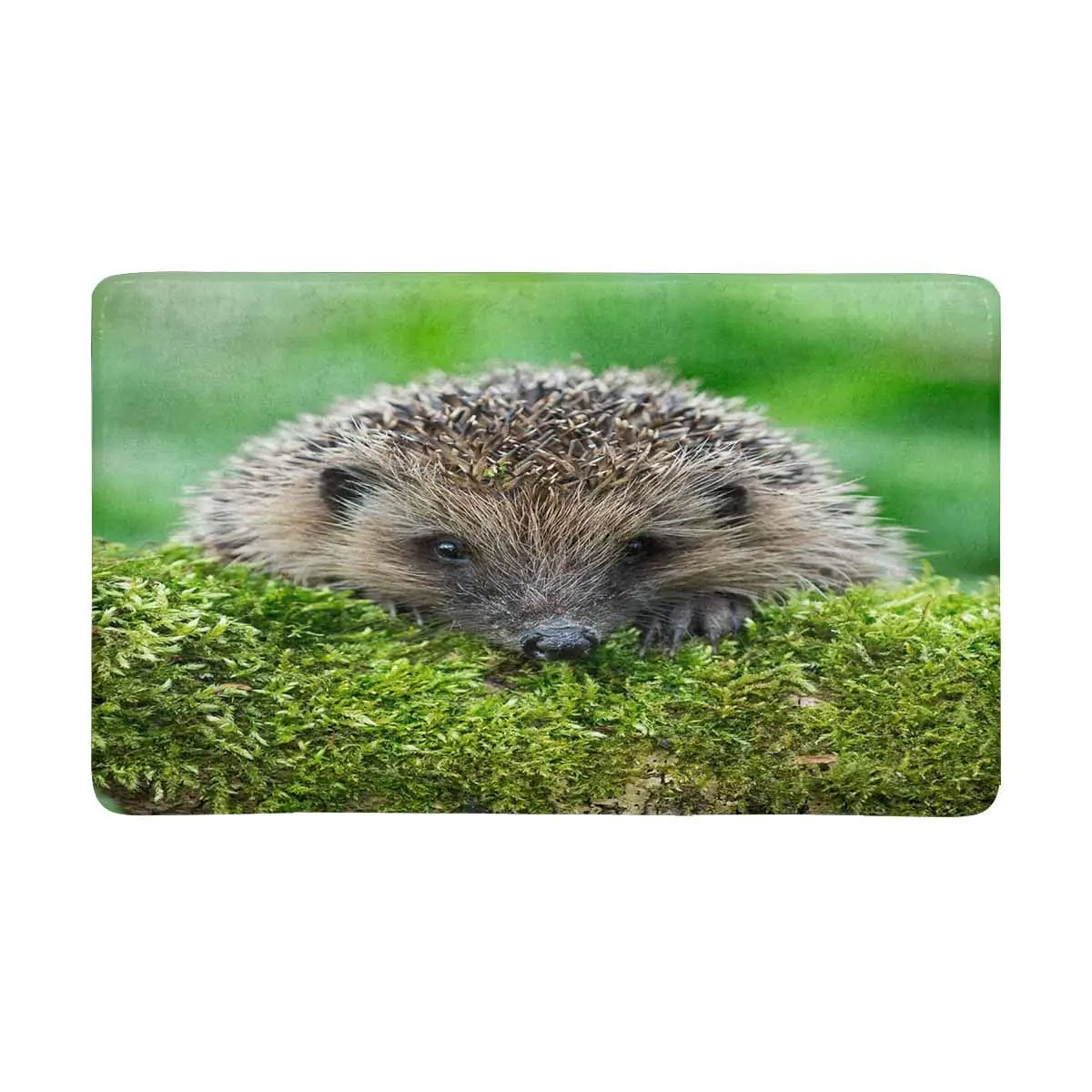 Buy Funny Animal Wild Hedgehog on Green Moss Anti Slip