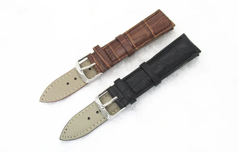 3676405525_1552623987