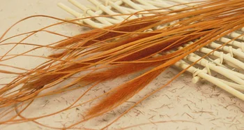 

20pcs Crystal grass Chinese Pennisetum Dried Flower Party wedding decoration home bedroom living room office DIY Decor flowers