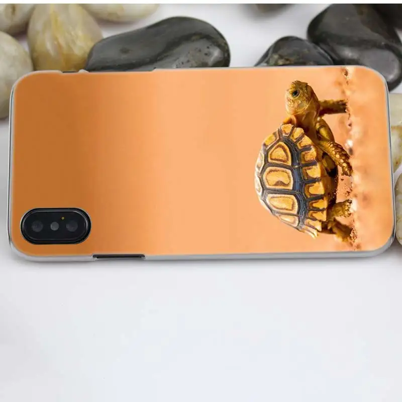 Чехол черепаха для iPhone XS Max XR X или 10 6 6s 7 8 Plus 5S SE 5 4S 4 5c 11 жесткий пластиковый прозрачный чехол из поликарбоната чехол для телефона
