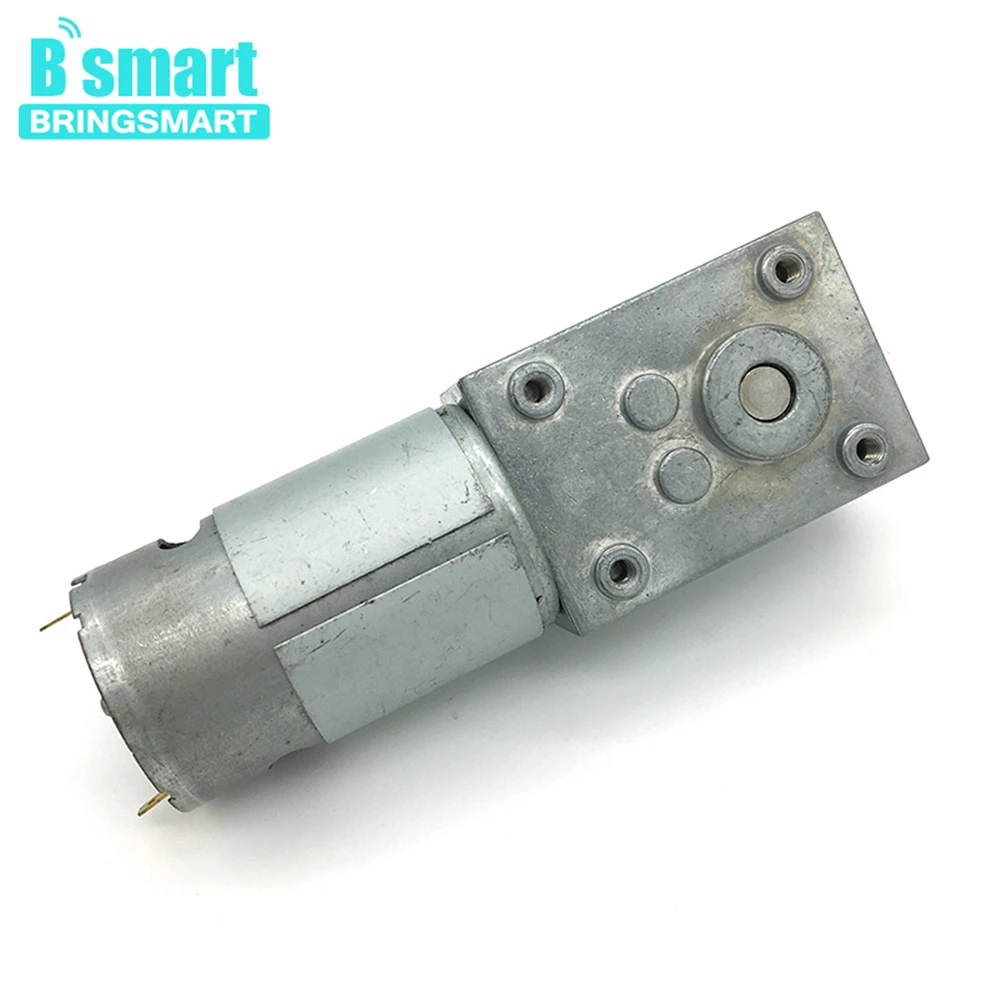 

Bringsmart High Torque Electric Worm Geared Motor A58SW-555 Motor 24V 12V Reversible DIY Robot Toys Self-lock Motor