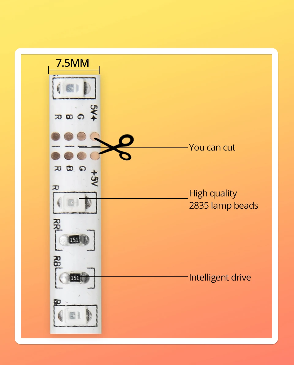 2835RGB+-_03