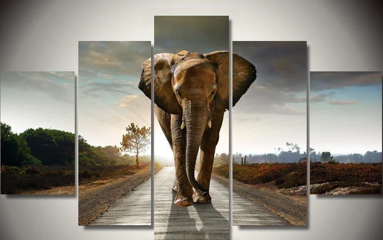 

Modern Indoor Decor Framed Modern Elephant print canvas decoration 5 pieces